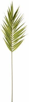 Kvist palmegren 110cm grønn